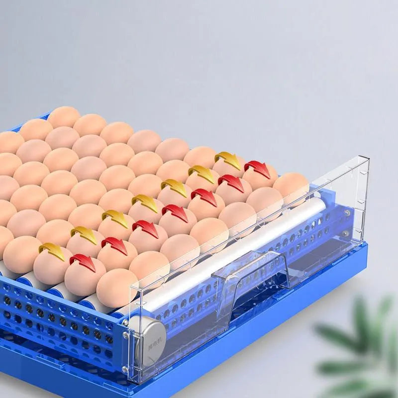 132-Egg Automatic Incubator – Chicken, Duck, Quail & Goose Egg Incubator Axl