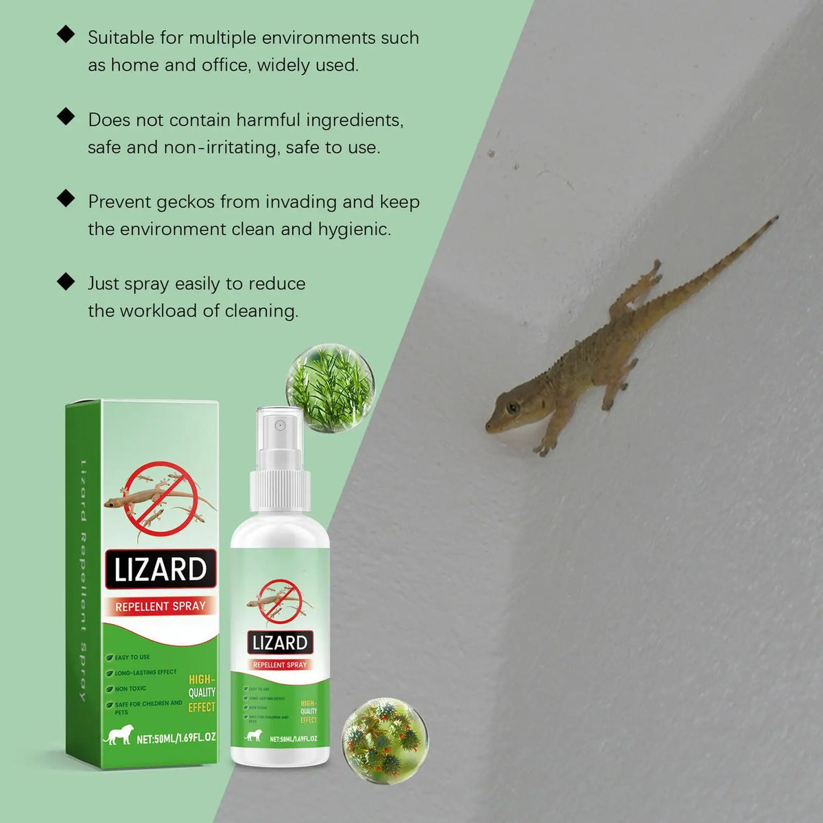 Natural Lizard & Pest Repellent Spray – Indoor & Outdoor 50ml Pest Repellent Spray Axl
