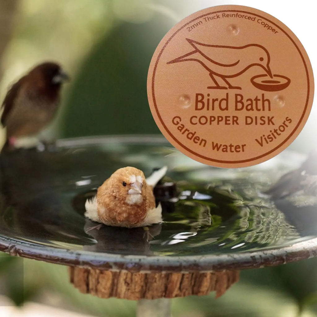 Copper Bird Bath Purifier Disk – Triple-Point Support Cleaner Bird Bath Accessory Axl