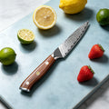 67-Layer Damascus Steel Paring Knife – Sharp Kitchen Chef Knife Damascus Paring Knife Axl Chef Knife