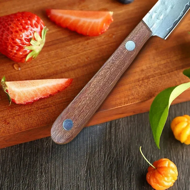 67-Ply Damascus Steel Steak & Boning Knife – Wood Handle Damascus Kitchen Knife Axl