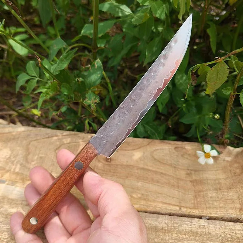 67-Ply Damascus Steel Steak & Boning Knife – Wood Handle Damascus Kitchen Knife Axl