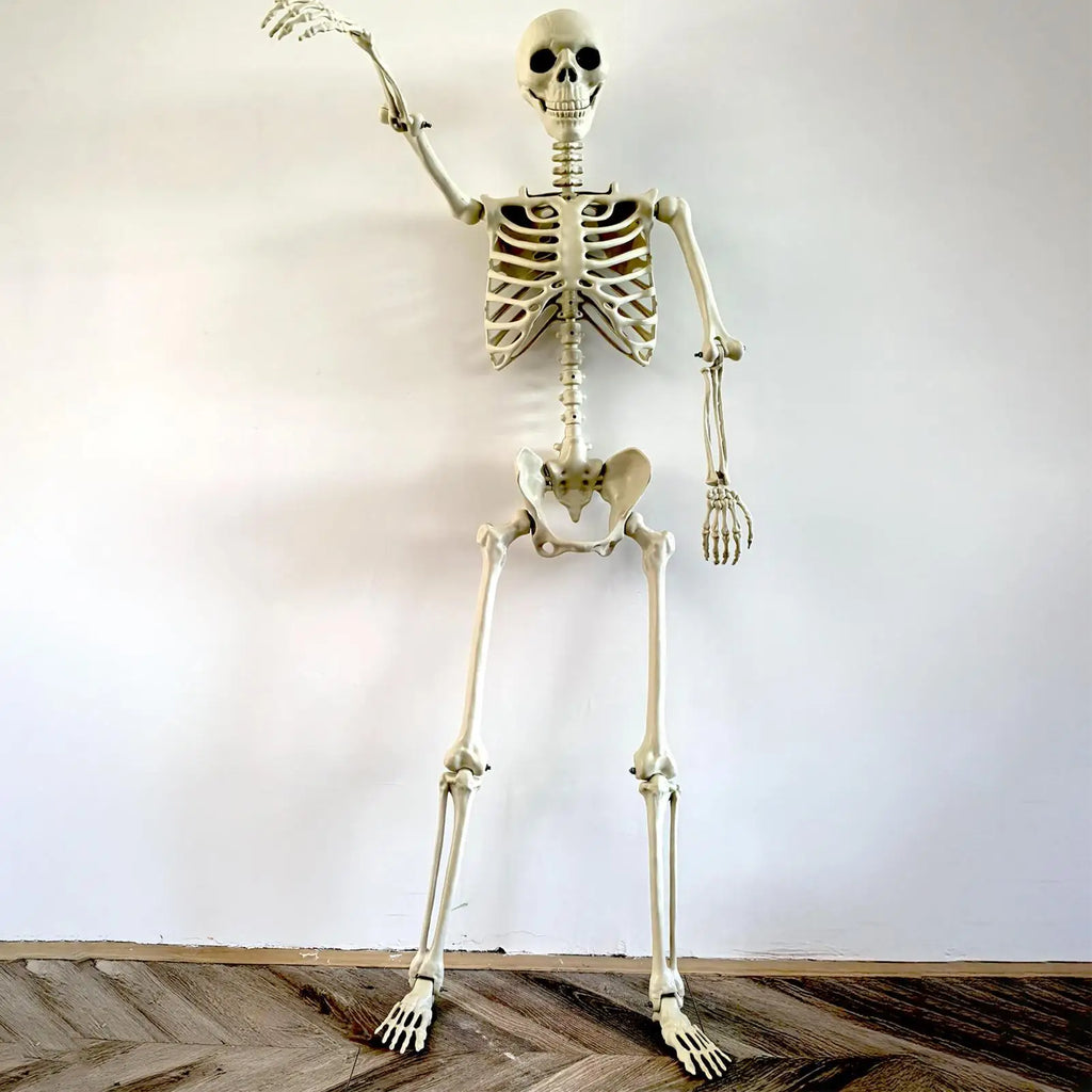 Life-Size Halloween Skeleton with Posable Joints | Haunted Decor Halloween Skeleton Decor Axl