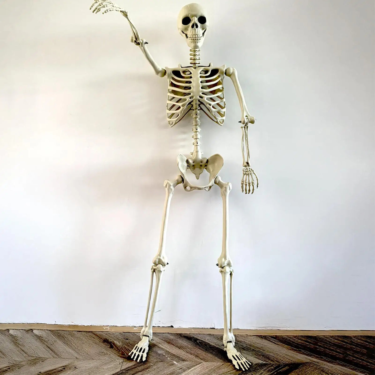Life-Size Halloween Skeleton with Posable Joints | Haunted Decor Halloween Skeleton Decor Axl