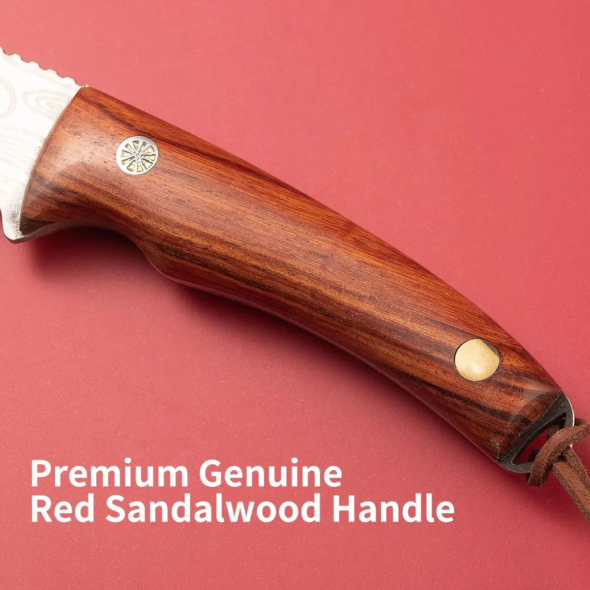 Stainless Steel Grafting Knife – Bark & Bud Garden Tool Grafting Knife Axl