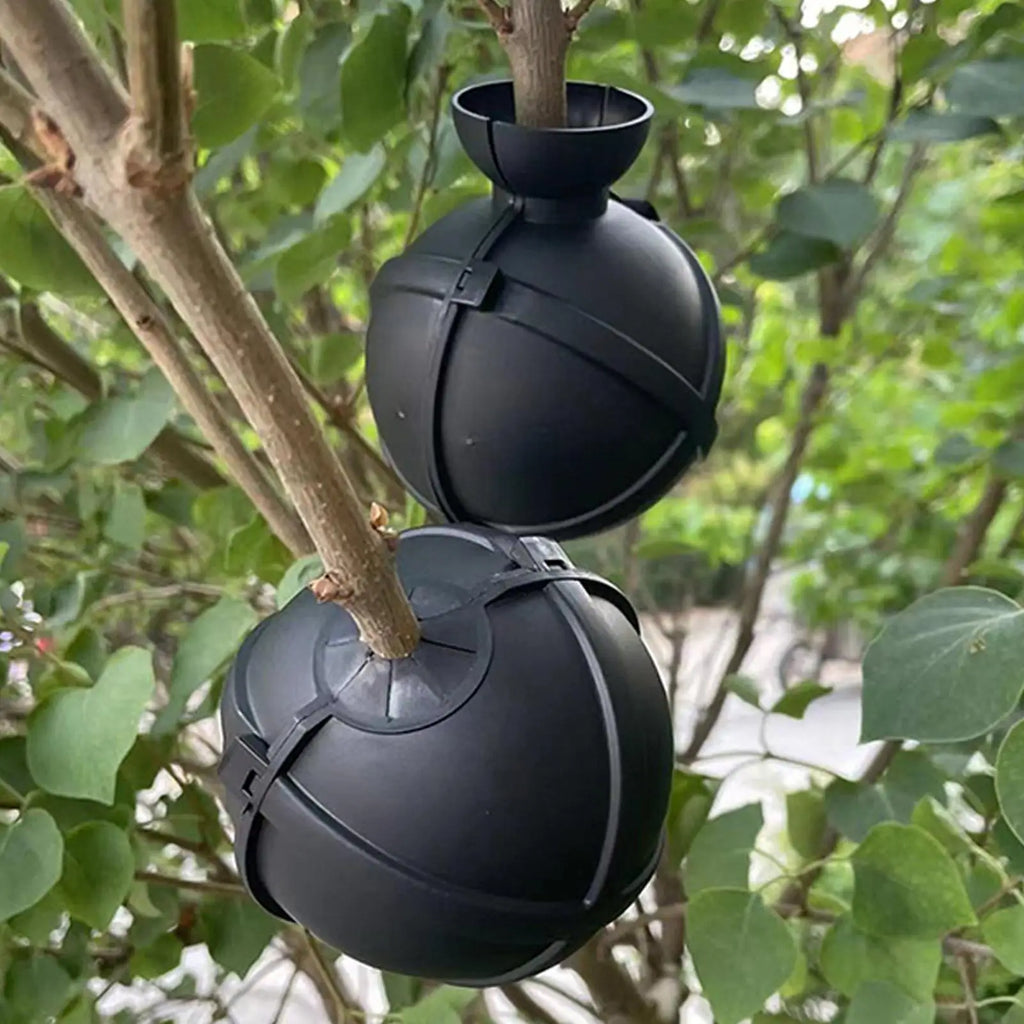 Plant Rooting Ball Propagation Box – Reusable Grafting Pod Plant Propagation Tool Axl