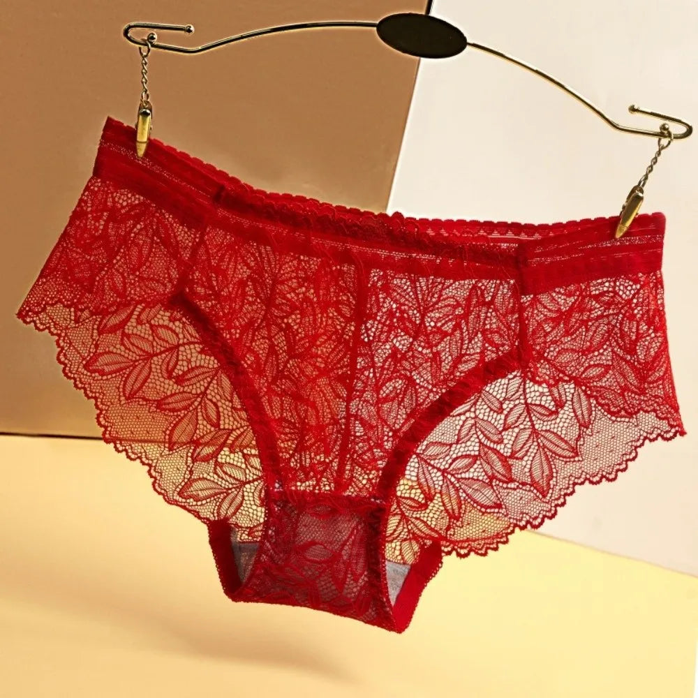 Women's Lace Mesh Briefs – Seamless Low-Rise Underwear Women's Briefs Axl