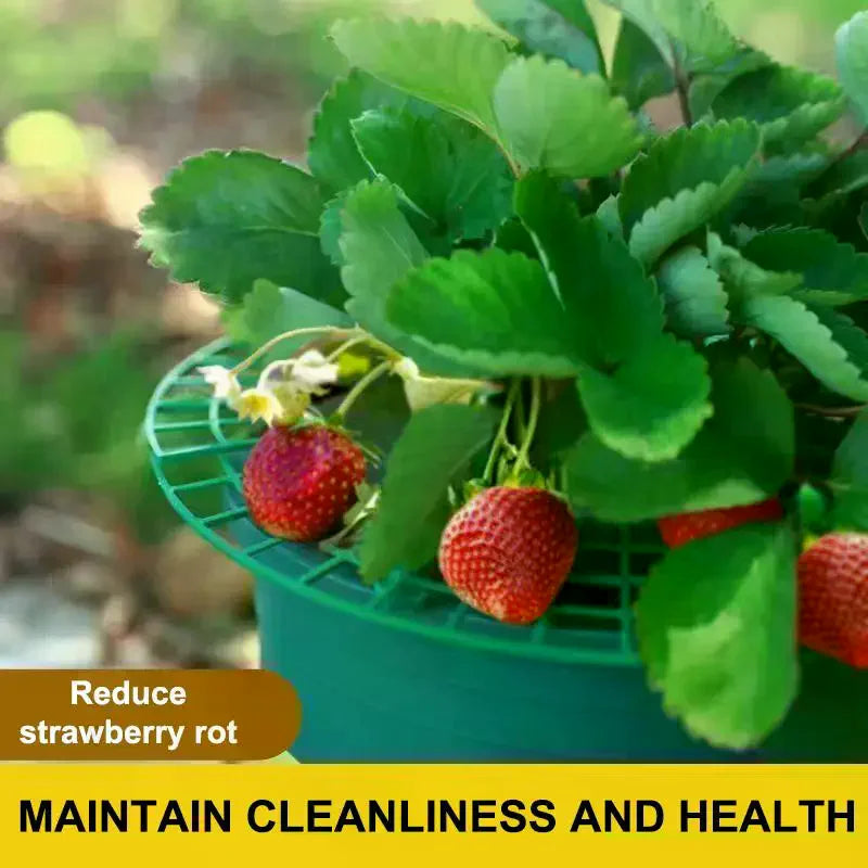 Strawberry Plant Support Stand – Round Pot Growing Rack Plant Support Rack Axl