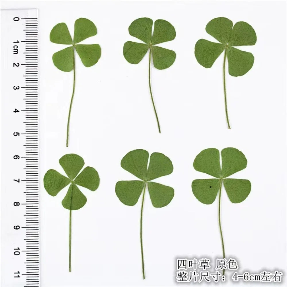 5-Pack Four-Leaf Clover Bookmarks – Waterproof Leaf Vein Decorative Bookmark Axl
