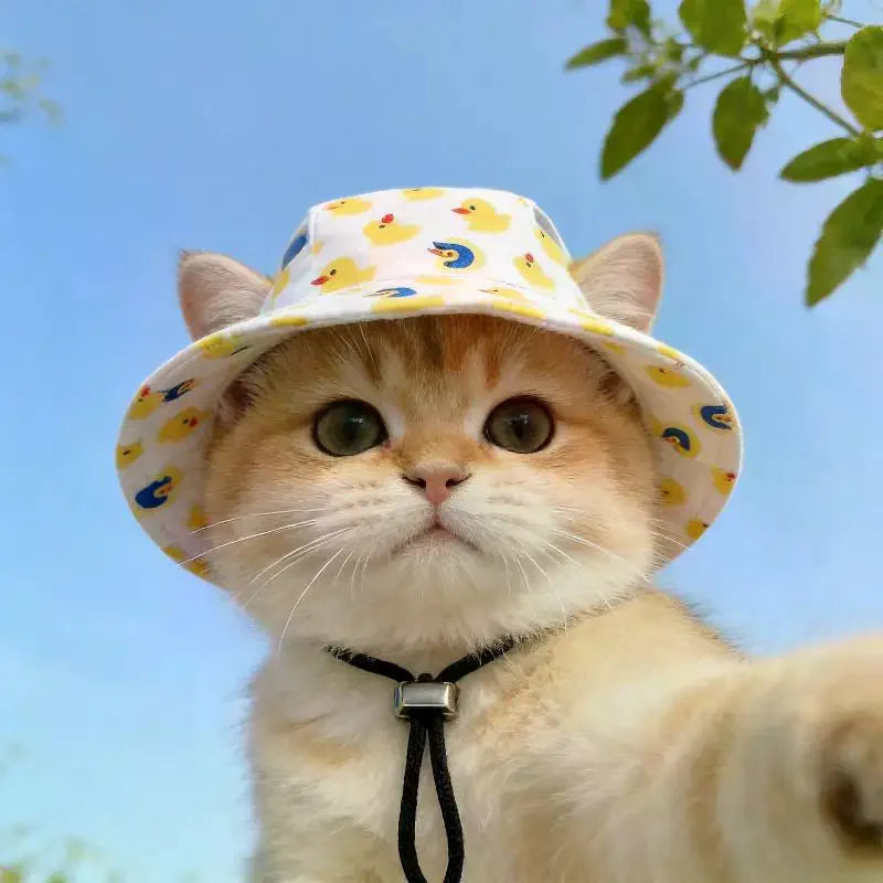 Pet Cowboy Hat with Ear Holes | Sun Hat for Cats & Small Dogs Pet Hat Accessory Axl
