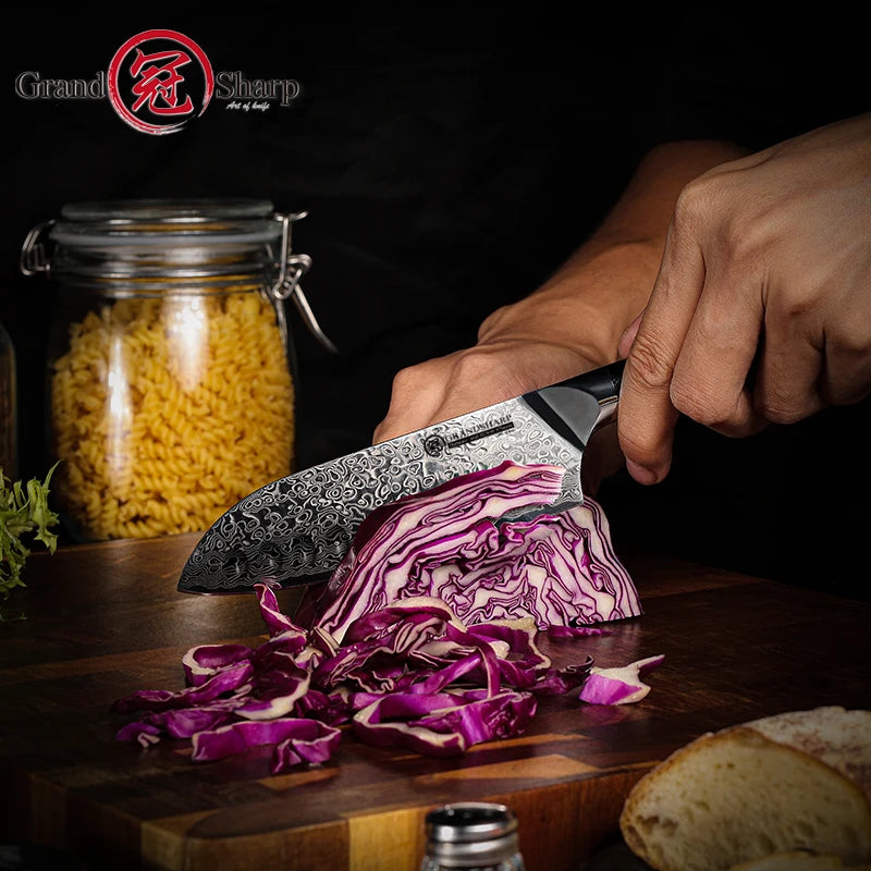 5-Inch Santoku Knife – 67-Layer AUS-10 Damascus Steel Chef Knife Santoku Kitchen Knife Axl