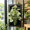 3D Shadow Box Preserved Zebra Leaves Dried Flower Decor Gift Floral Shadow Box Axl 3DBMY
