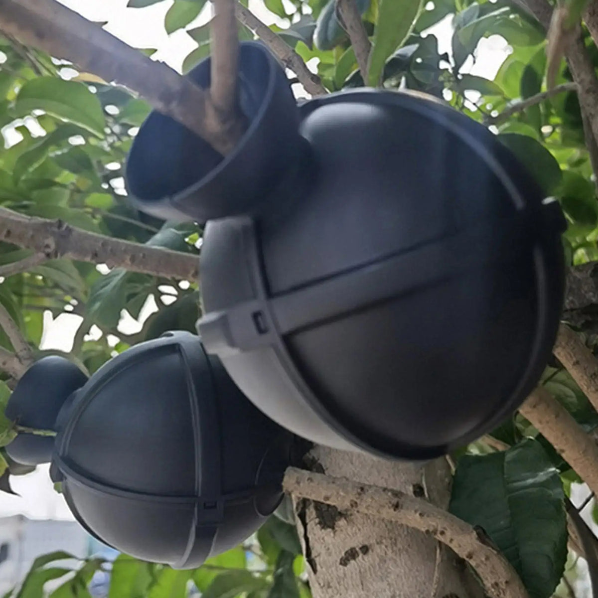 Plant Rooting Ball Propagation Box – Reusable Grafting Pod Plant Propagation Tool Axl