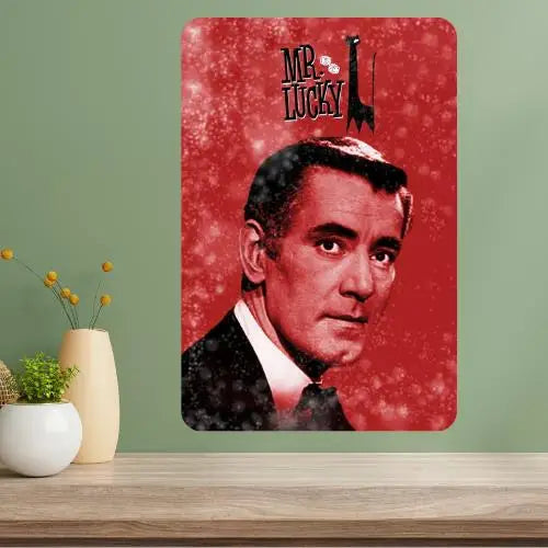 Mr Lucky Classic TV Show Vintage Metal Poster Sign Vintage Metal Sign Axl aluminum sign aluminum 20x30cm