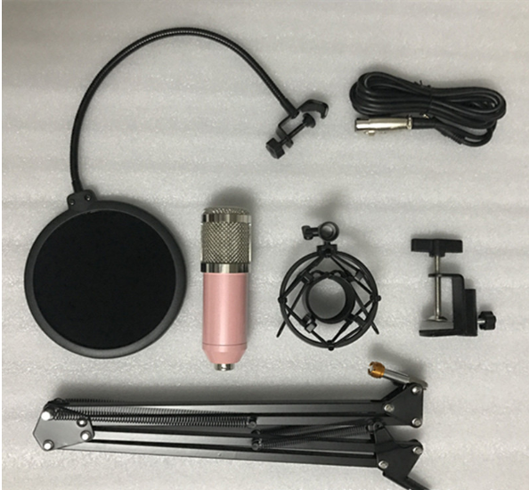 Karaoke Condenser Mic Kit – Cardioid, Stand & Shock Mount Condenser Microphone Kit Axl Pink