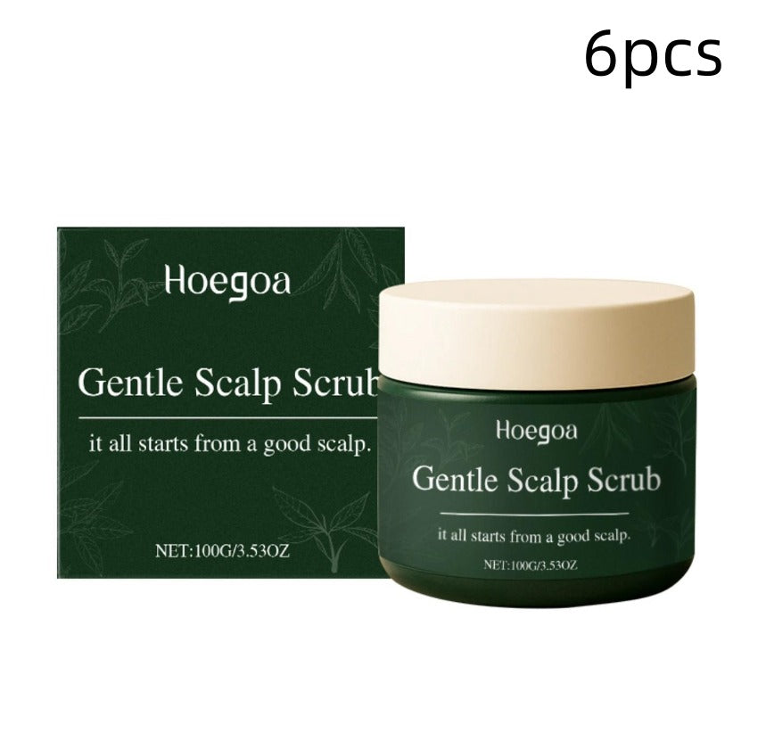 Gentle Scalp Scrub Axl 6PCS 100g